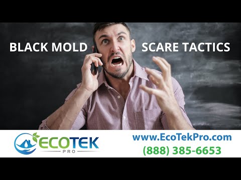 Black Mold Scare Tactics