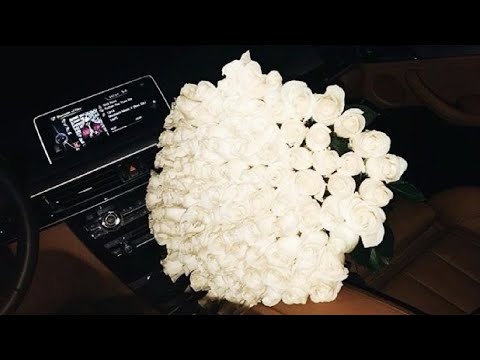 PRINCESS TREATMENT