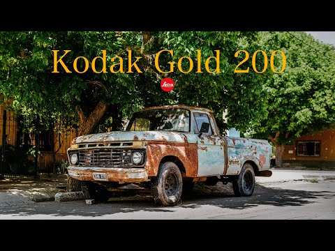 Leica M6 | Old Cars of Argentina - My favourite roll yet?