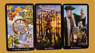 DAILY TAROT READING - 26 DECEMBER 2025 - THE WHEEL TURNS IN YOUR FAVOR, BE OPEN TO RECEIVE