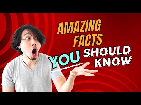 Top 4 Amazing Facts #fact #amazingfacts