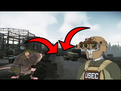 Rat Patrols Customs... Mostly.