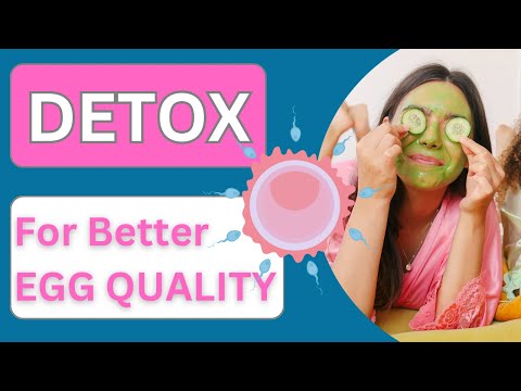 How to Reduce Toxins & Improve Egg Quality for Fertility