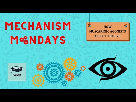 Mechanism Mondays: Muscarinic agonists on Eye