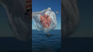 How did astronaut Sunita Williams return to Earth? In 100 seconds #shorts #bbcnewsindia