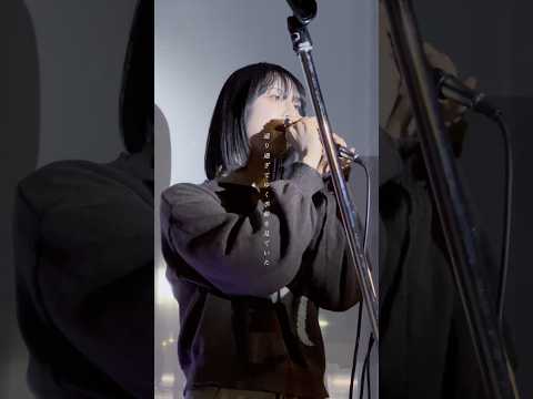 🎧白い恋人達 ／ 桑田佳祐 #歌うま #歌ってみた #カバー曲 #白い恋人達 #桑田佳祐 #フェノメロ @phenomellow--6575 @Shin-ob7ln