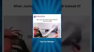 When Junior Dev Deleted The DB Instead Of Tables Be Like