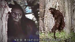 This New Bigfoot Footage is SHOCKING the World