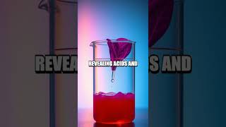 Five Curious Contraptions from a Home Kitchen