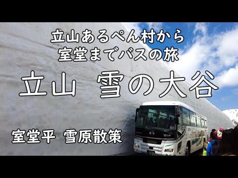 [Tateyama] Snowy Otani and Murodo Snowfield Sightseeing ~Alpen Village Tourist Bus Tour~