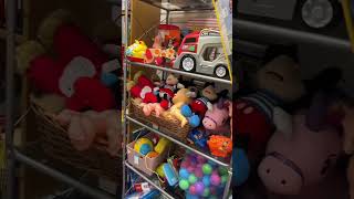 I FOUND ONE😍👏🏽😁 #jellycat #charityshop