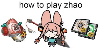 Zhao Guide in 2 minutes