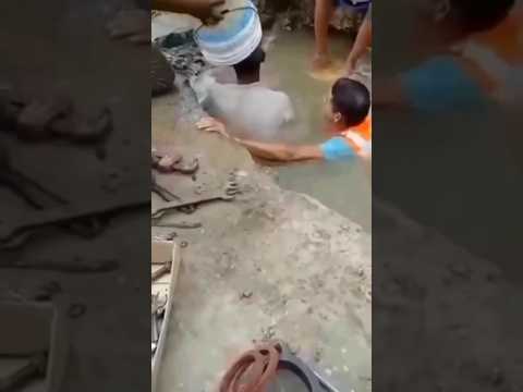 #shorts #explorepage #construction #reaction