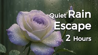 Deep Focus Aid: 2Hours of Gentle Rain & Cricket Sounds