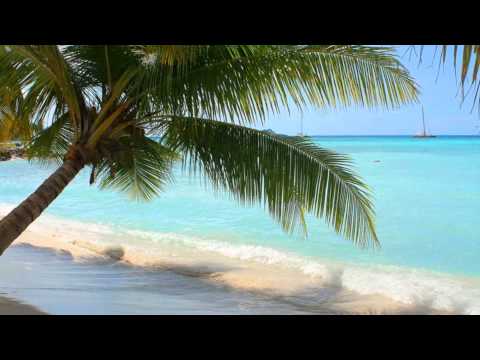 THE BEST OF DEEP HOUSE  MUSIC BY HERK ADAMS the sound of caribbean (original version