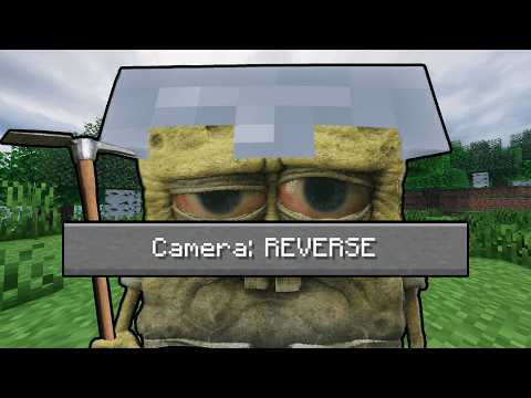 Minecraft, but the Camera Faces the Wrong Way