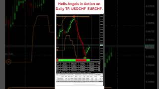 Hells Angels in Action on Daily TF:USDCHF - EURCHF #tradingtechniques #tradingstrategy  #shorts