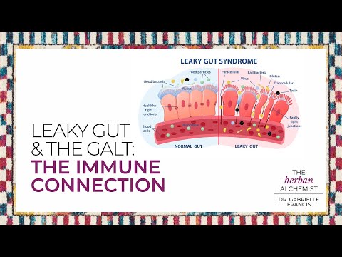 Leaky Gut/GALT | How Your Gut Controls Immunity, Hormones & Brain Health