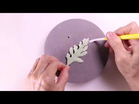 Sugar Leaves ~ Sliver Ragwort