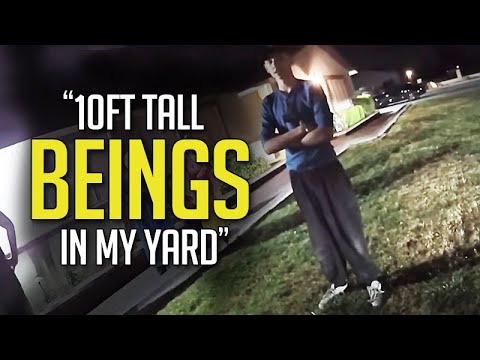 "They're Not Human" 10ft Tall Beings Seen In Garden After UFO Falls From Sky