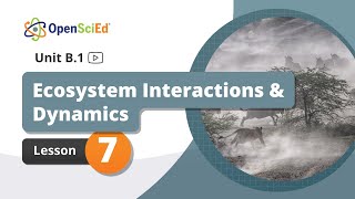 Unit B.1 Lesson 7 Planning Video | OpenSciEd On-Demand Resources
