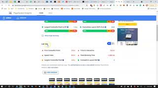 WordPress Website Slow Performance Audit - Core Web Vitals - Website Speed - Time To First Bite TTFB