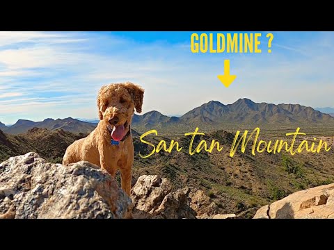 Solo Hiking in Arizona - The Dynamite and Goldmine Trail Loop - with my DOG