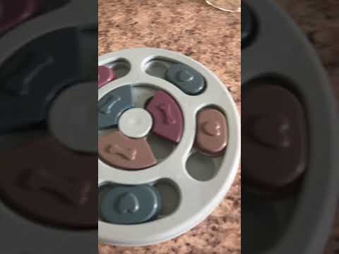 Round two of the IQ puzzle