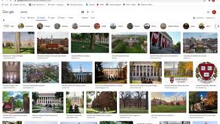 Google Search page created by Duygu Uz