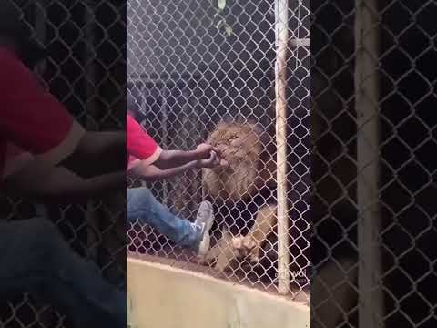 Real no juegue con los sentimientos 🙈