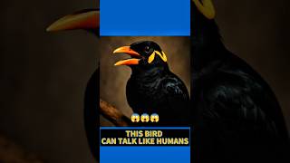 It Talks, It Feels… Is This Even a Bird⁉️😳🦜,, #shorts