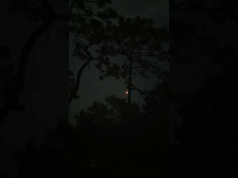 SpaceX launch 11/27/2023