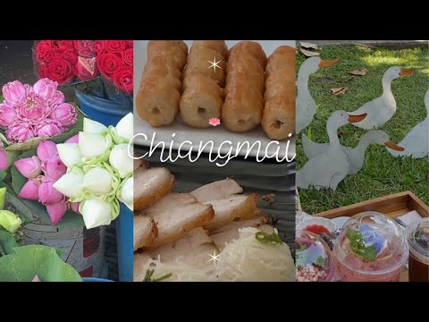 Chiangmai Vlog ขึ้นรถไฟไปเชียงใหม่,ถ่ายรูปกับดอกบัว,ไปร้านแหนมเนือง,คาเฟ่,ร้านข้าวซอย,ไปกาดหลวง