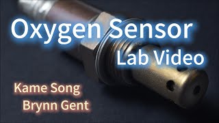 Oxygen Sensor Lab Video