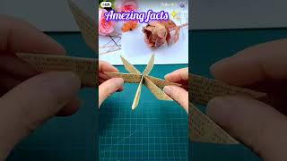 amezing paper rose 🌹✨#rose #tytshorts #shorts #viralshorts #trnding #song