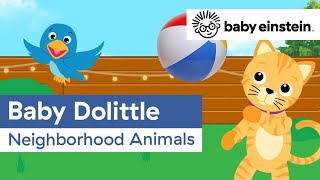 Neighborhood Animals | Baby Einstein Classics | Learning Show for Toddlers | Kids Cartoons