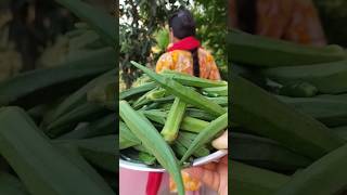 Rohini❤️Rohini bhindi ki recipe banao🤗#ytshorts#minivlogs#dailyvlogs#tasty#newshorts