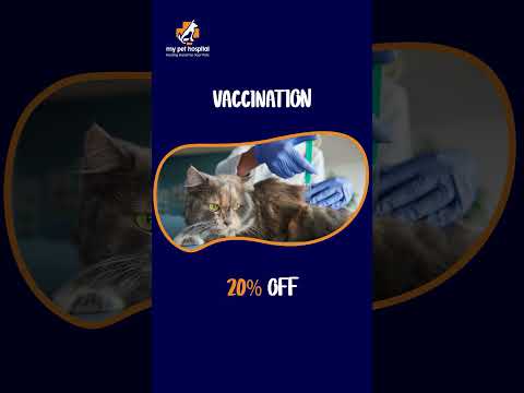 🎉 Exclusive Discounts for Hyderabad Pet Parents at My Pet Hospital! 🐾