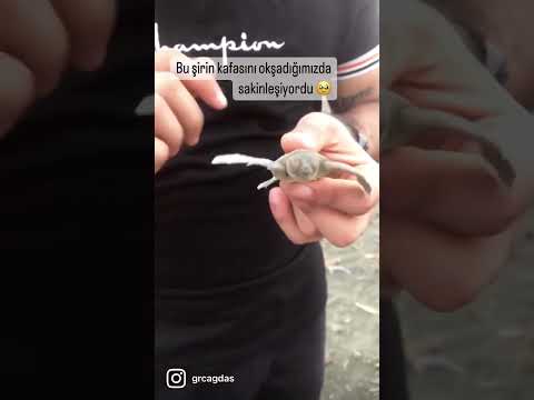 Bize Dönüp Teşekkür Edeni Halen Özlüyorum