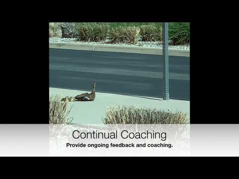 Lead Like a Duck