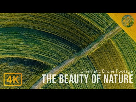 The Beauty of Nature, Pennsylvania | 4K Drone Flyover | DJI Cinematic Short