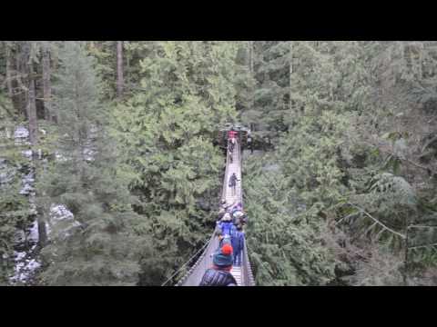 Lynn Canyon Suspension Bridge