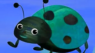 The One Bug Waking Up Climbs//Subscribe//Sponsored by Gamavision preview 2 Scupo Effects