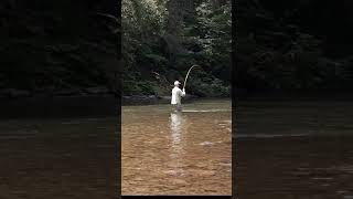 Fly Fishing for Dinner #getoutdoors #fishing