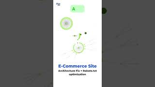E Commerce Site Architecture Fix + Robots txt optimization