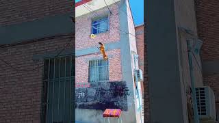 This dog's leap will amaze you #doglover #pets #doggydays