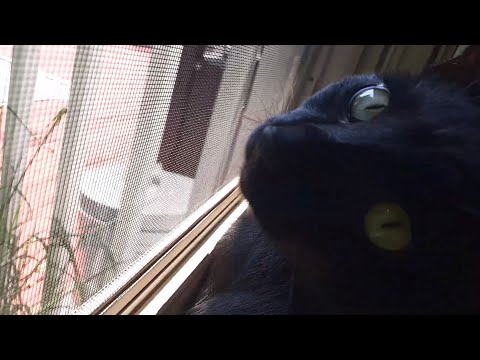 Mreiweiweiewiweieiw