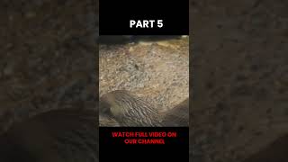 "Milbil the Otter Class 10 | Short Easy Explanation"
