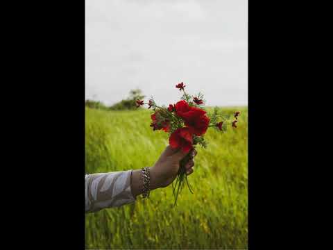 Background eraser #day6challenge #digitalmahila #canvaapps #kiranmaivideos #womenempowerment