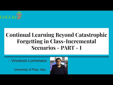 Continual Learning Beyond Catastrophic Forgetting in Class-Incremental Scenarios - PART I
